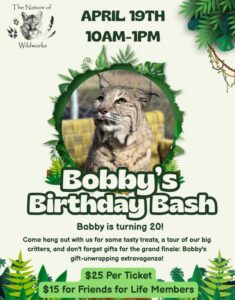 Image of a flyer for Bobby's birthday bash event