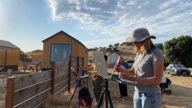 Mariposa Paint Out 2026