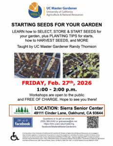 Image of a flyer for starting seeds