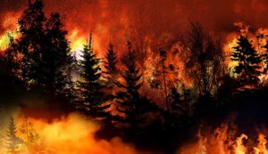 Tumb Dixie Fire 2021