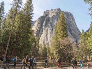 Yosemite Armstrong Scholars
