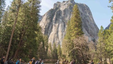 Yosemite Armstrong Scholars