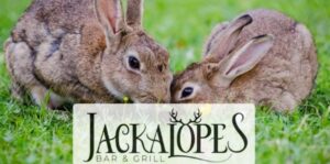 Image of a flyer for Jackaslopes bar and grill