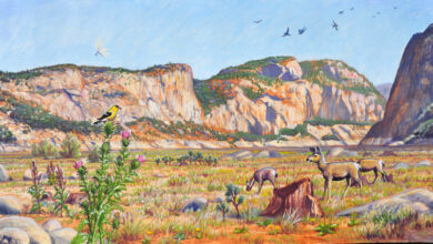 A Restored Hetch Hetchy