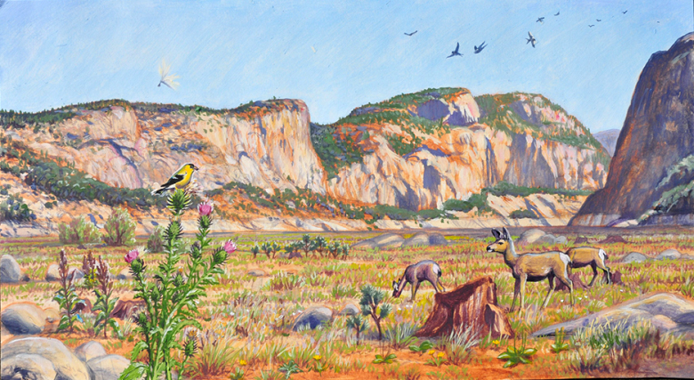 A Restored Hetch Hetchy