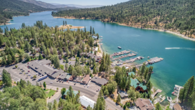 Bass Lake north shore