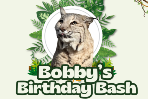 Bobby's Birthday Bash at NOW