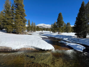High Country - Lyell Fork of the Tuolumne River