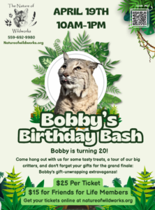 NOW Bobby' Birthday Bash flyer
