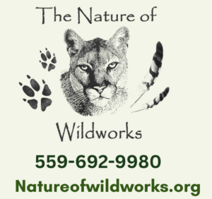Nature of Wildworks
