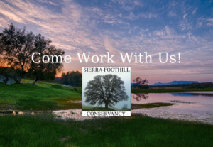 Sierra Foothill Conservancy