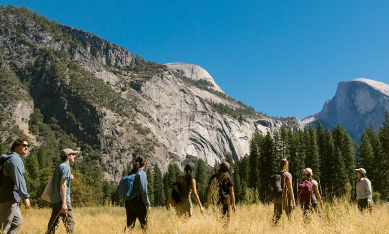 Yosemite Conservancy summer