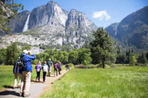 Yosemite Conservancy summer-graphic