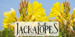Image of a flyer for the jackalopes mothers day event