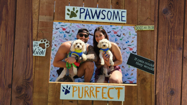 Photo of pets being adopted.