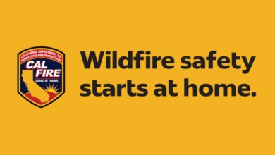 Picture of Cal Fire campaign flyer