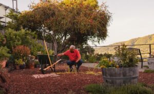 Picture of man making creating defensible space around his home.