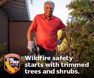 Picture of a Cal Fire Safety Campaign flyer