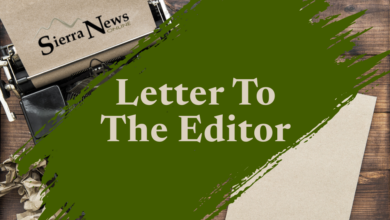 Letter to the Editor Graphic