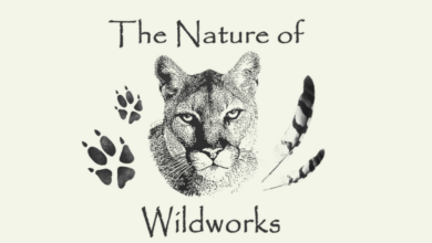 Picture of Nature of Wildworks logo