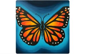 Image of a midnight monarch butterfly