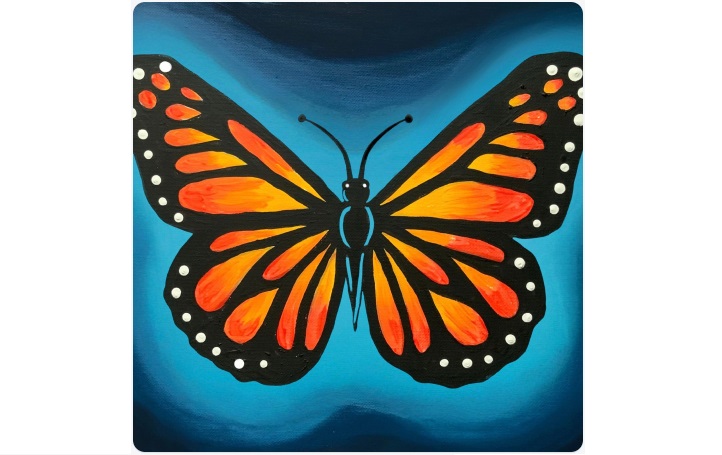 Image of a midnight monarch butterfly