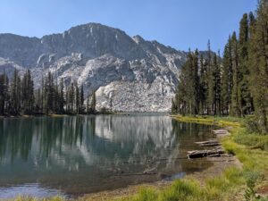 Photo of a part of the Sierra National Forrest