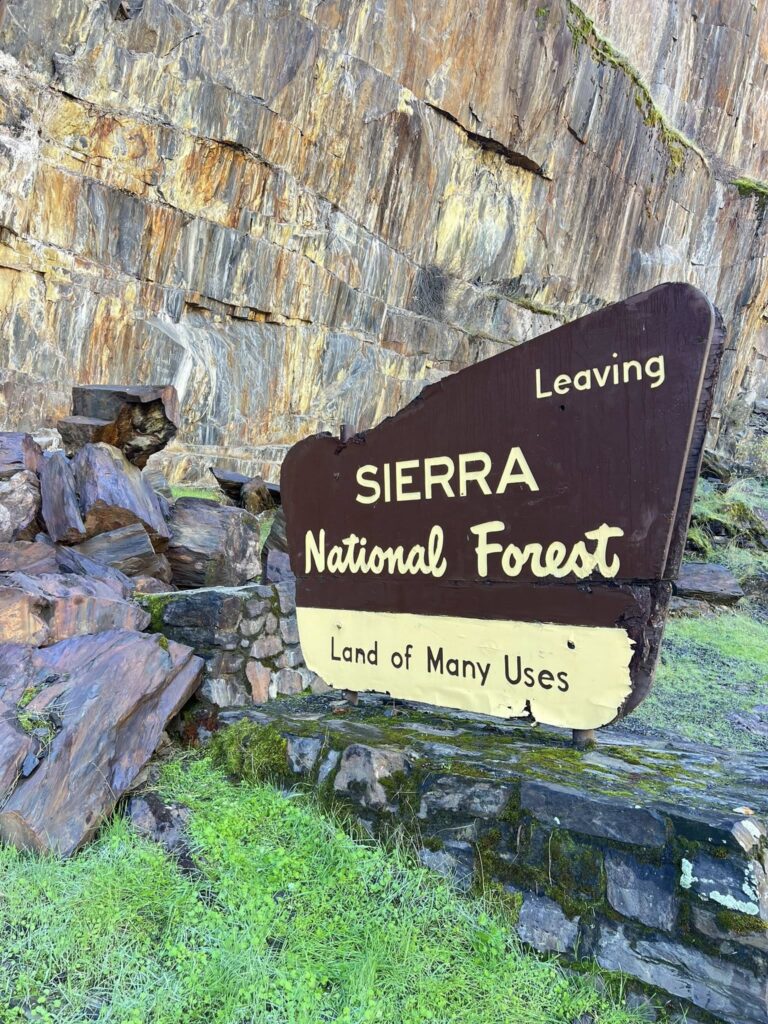 Photo of Sierra National Forrest sign.