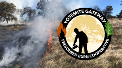 Photo of a the YGPBC logo and a prescribed burn project.