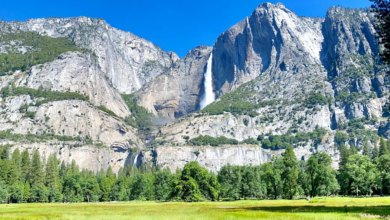 Photo of Yosemite Valley Meadow