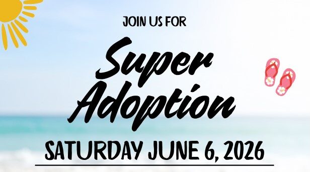 Surfs Up! Madera County Animal Services Hosts Free Super Adoption Aloha Event
