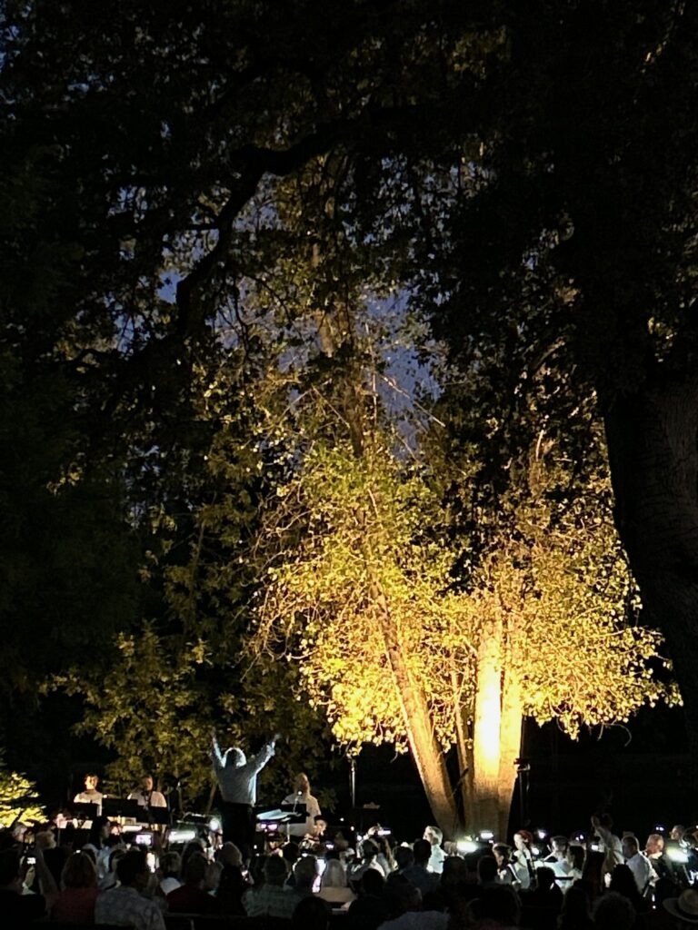Photo of MYSO at ECCO after dark