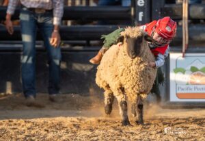 Photo of a Coarsegold Mutton Busting competitor.