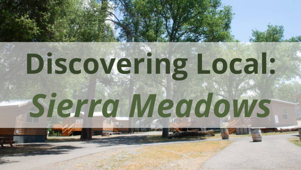 Photo of Sierra Meadows and the Discovering Local Title.