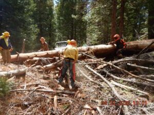 Photo of Stewards of the Sierra National Forest volunteering their time in the forest.