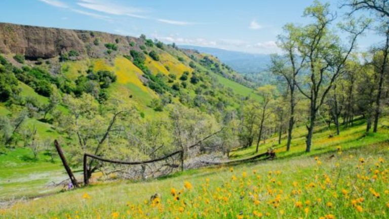 Photo of the Ruth McKenzie Table Mountain Preserve