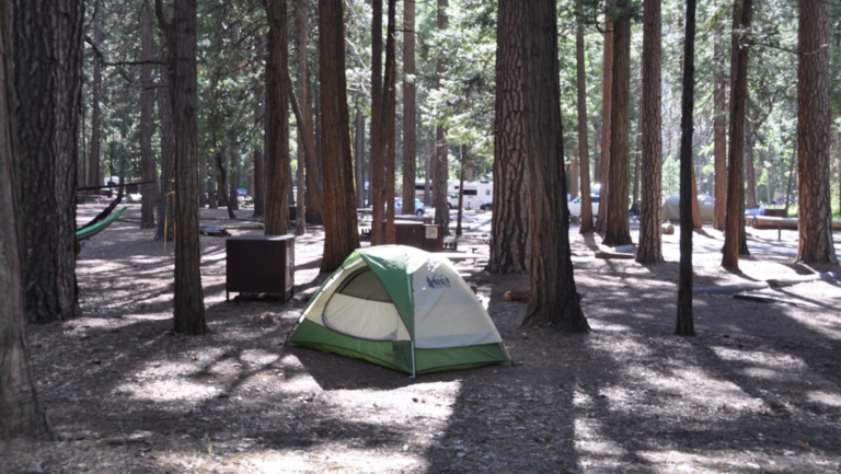 Photo of a tent in Yosemite campground.