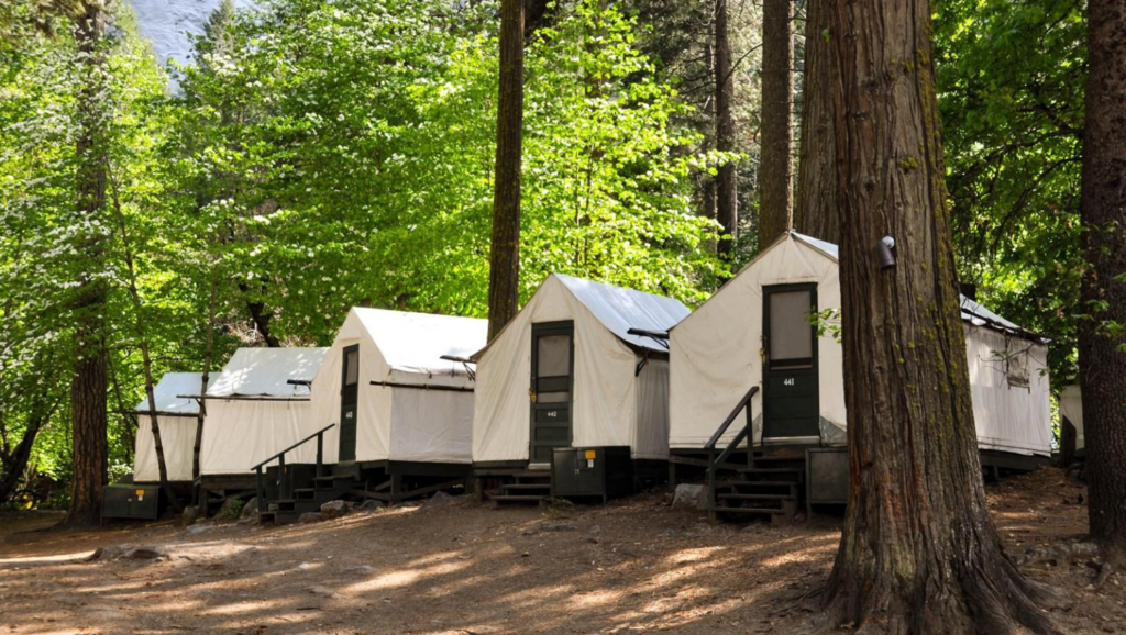 Photo of Curry Village in Yosemite