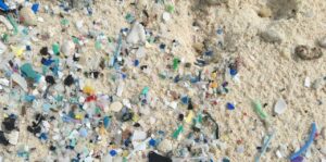 plastic particles on the beach