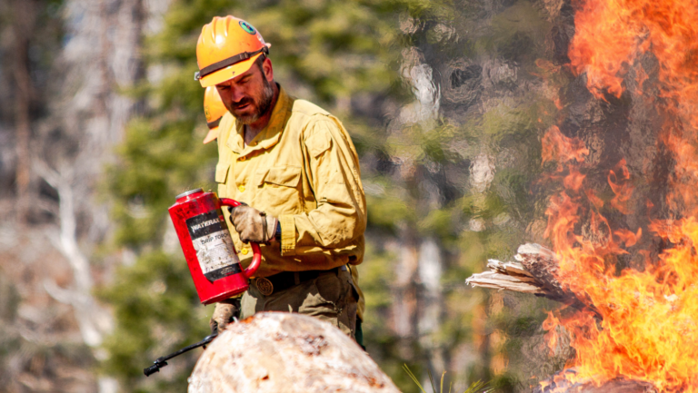 Curious About Prescribed Burning? Thursday’s Meeting Offers a Place to Start