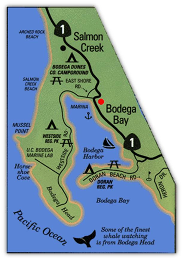 Bodega Bay 2