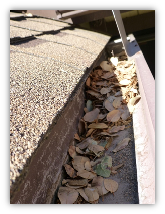 Cleaning Gutters2