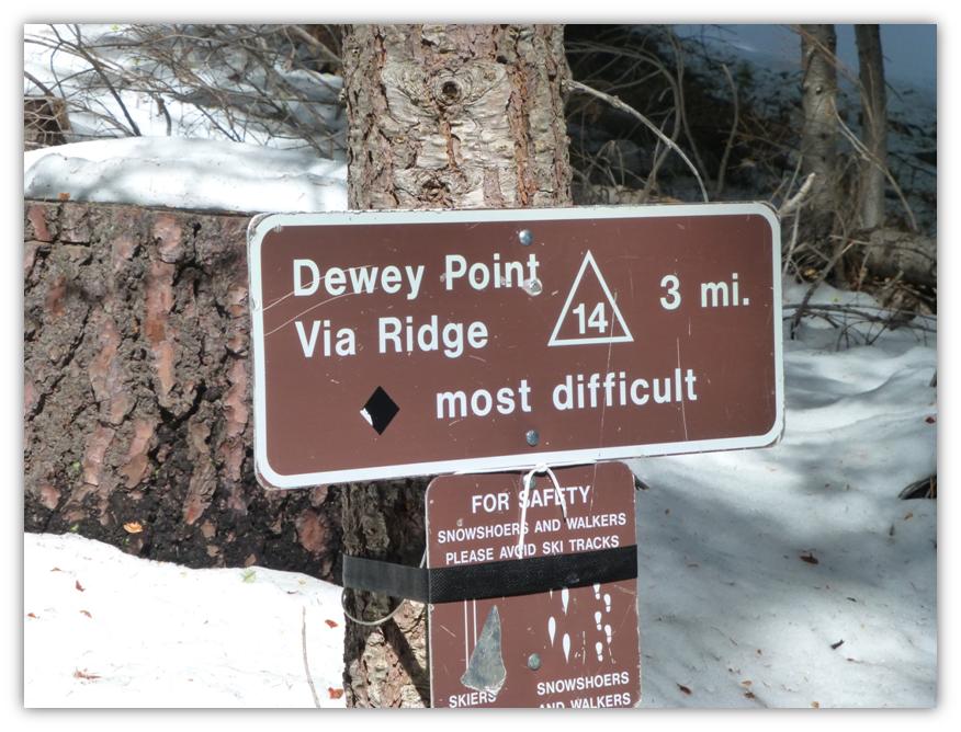 Dewey Point 31