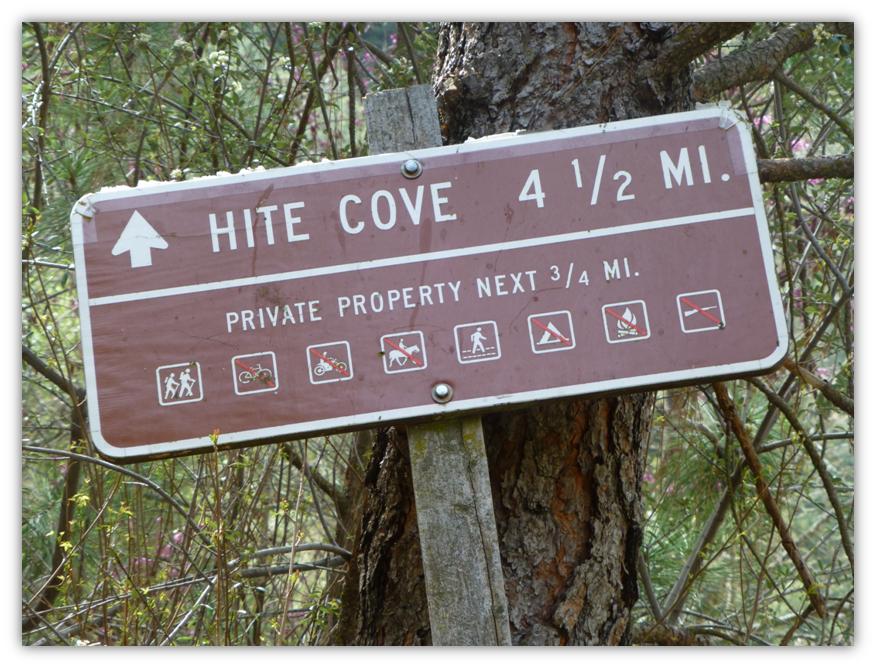 Hite Cove 2014 3