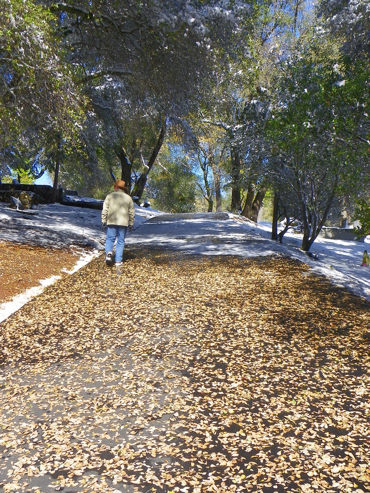 Dave walks on leaf covered path in Columbia cemetery Dec 2013