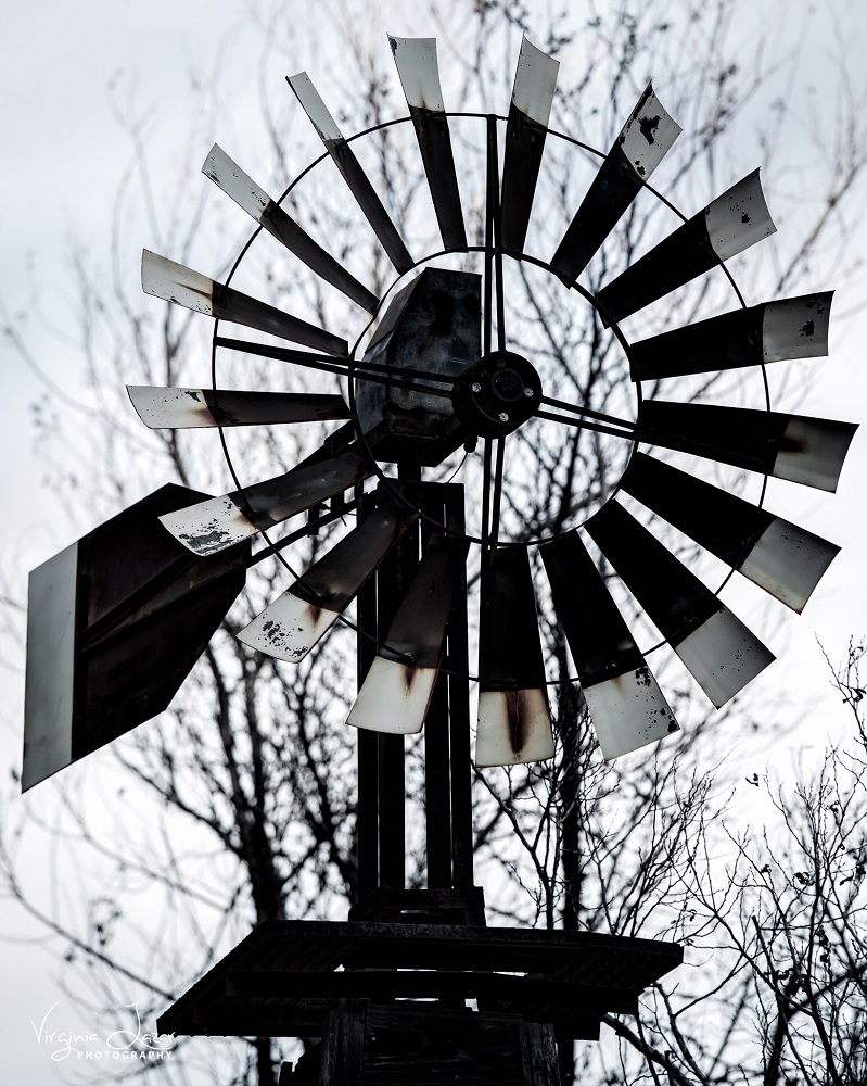 BB Windmill photo by Virginia Lazar 2015