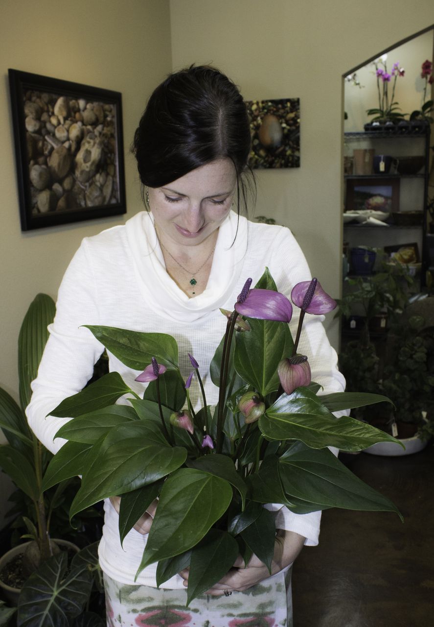 Solstice Gallery Plants and Gifts - owner Amy Duke tucks dirt into a plant - Photo by Virginia Lazar