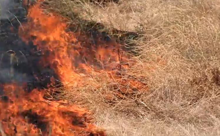 Fire in dry grass