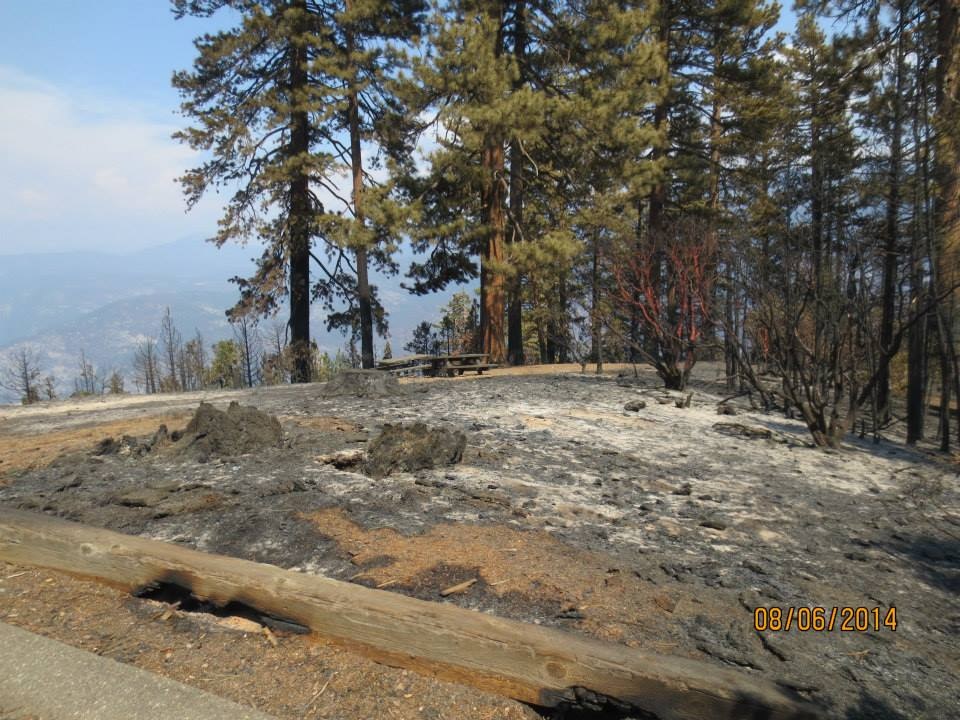 Mile High Vista After French Fire 5 - photo by Dirk Charley