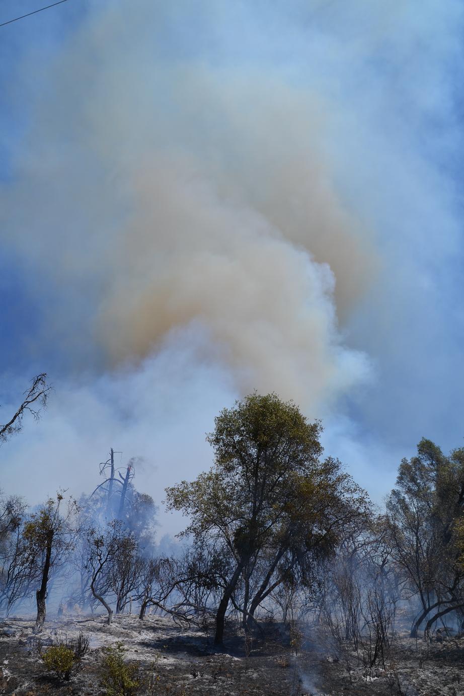 Smoke From the John West Fire - photo by Gina Clugston